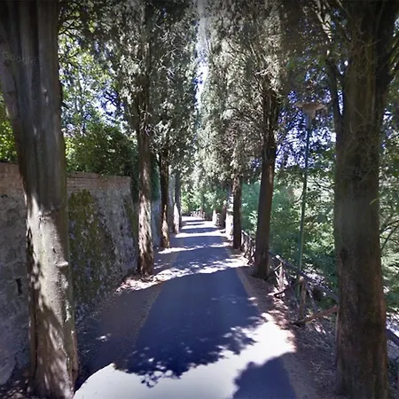 Bed and breakfast Il Fico E La Bambina Siena